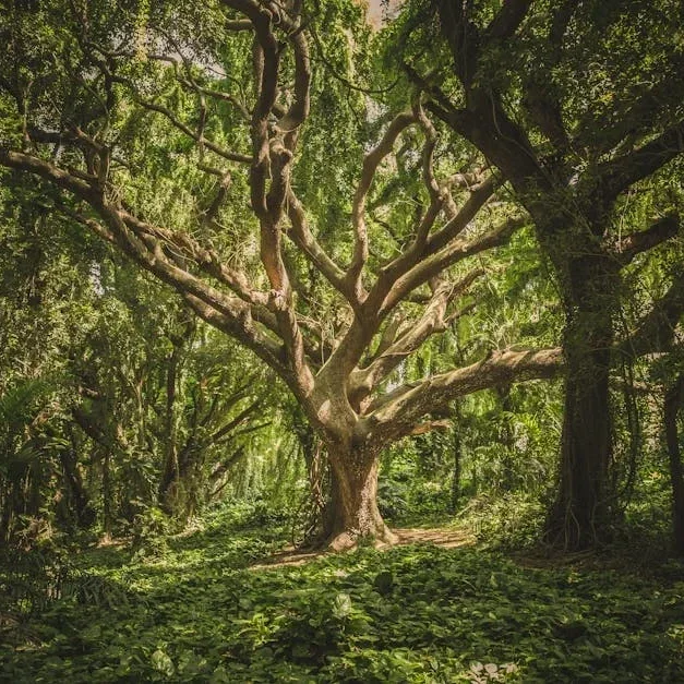 Whispers of the Forest