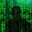 /void/terminal